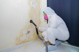 Best Residential Mold Inspection & Testing  in Irwin, SC